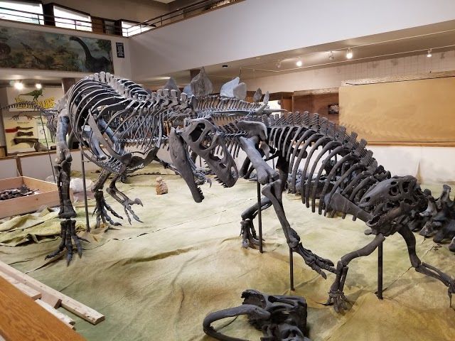 Utah State University Eastern Prehistoric Museum